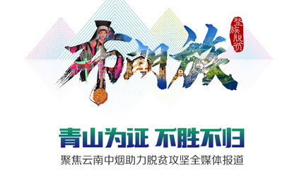 「唐能風采」唐能翻譯中標云煙國際翻譯服務采購項目