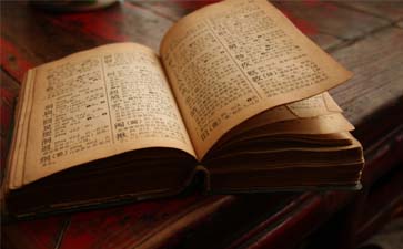 專業翻譯公司